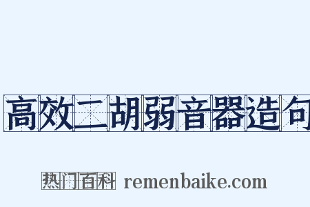 高效二胡弱音器造句是什么意思的图片